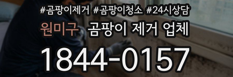 원미구 곰팡이 제거 업체