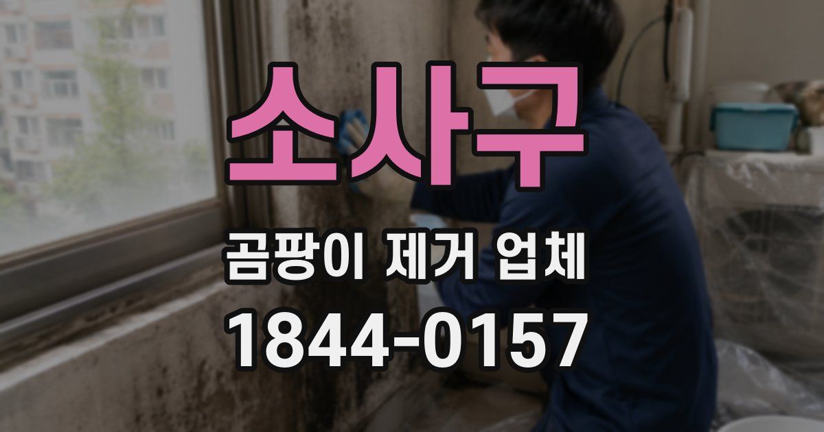 소사구 곰팡이 제거 업체