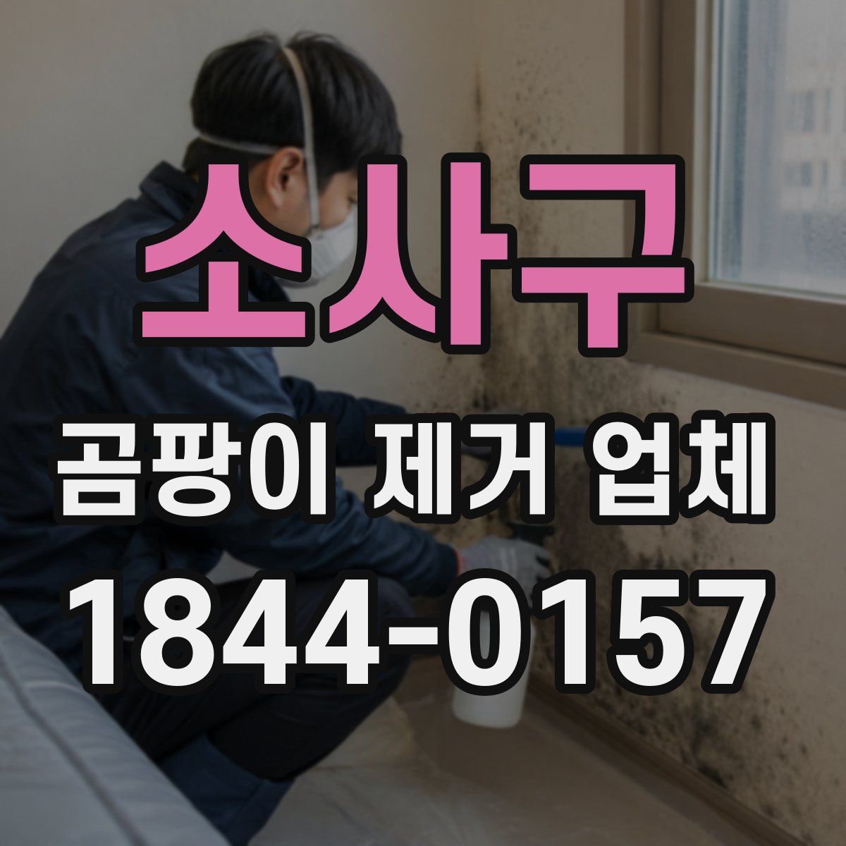 소사구 곰팡이 제거 업체