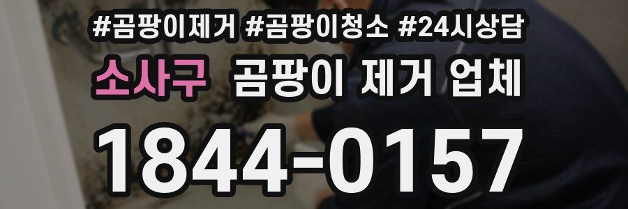 소사구 곰팡이 제거 업체