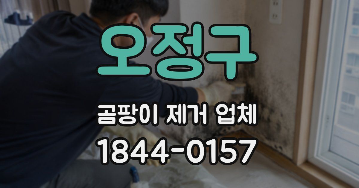 오정구 곰팡이 제거 업체