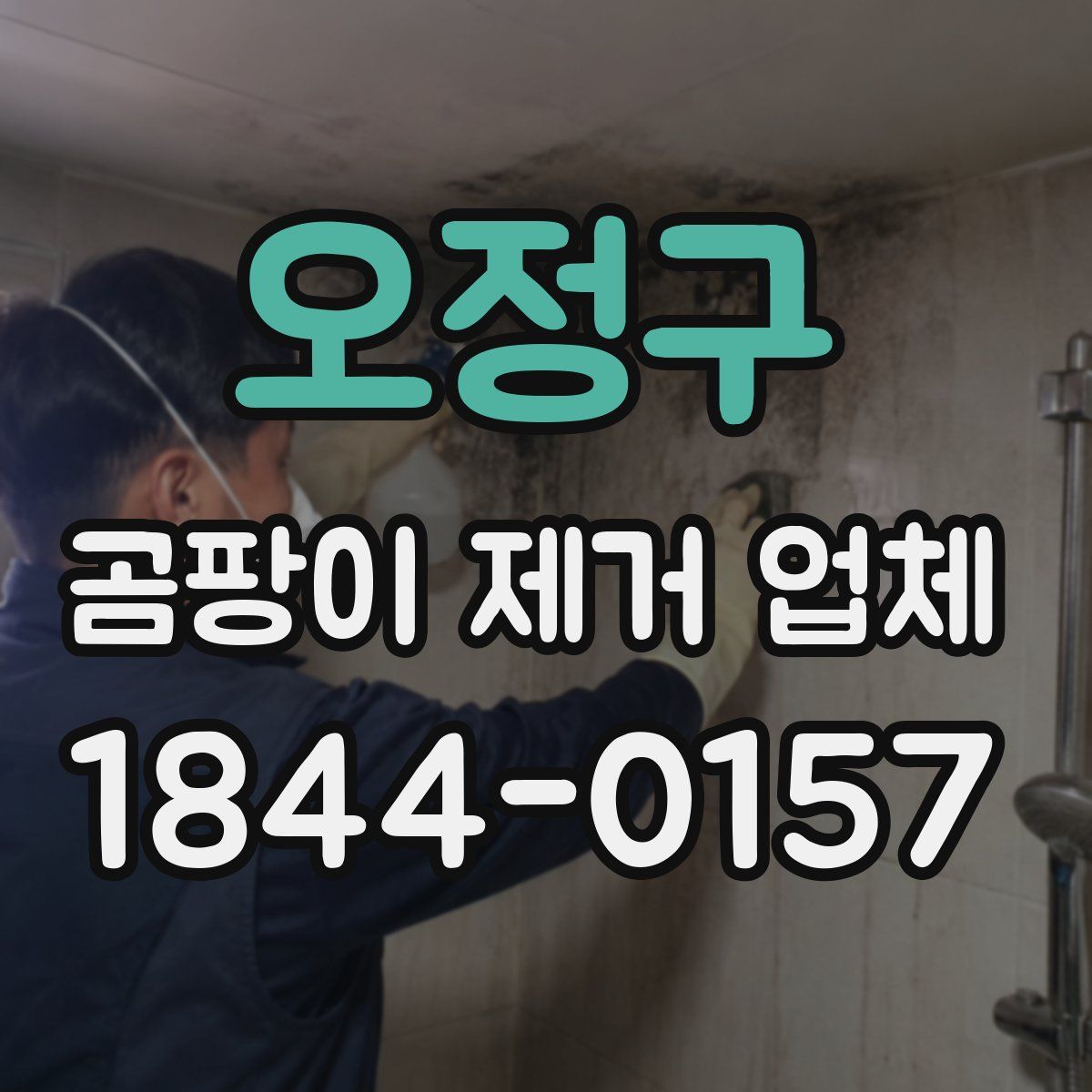 오정구 곰팡이 제거 업체