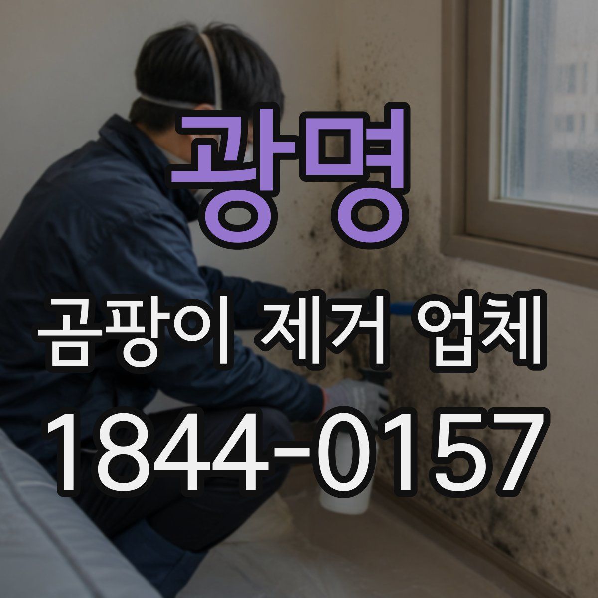 광명 곰팡이 제거 업체