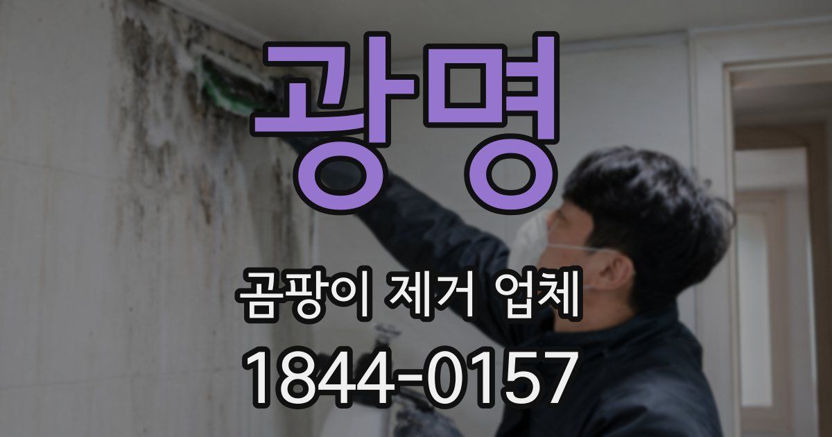 광명 곰팡이 제거 업체