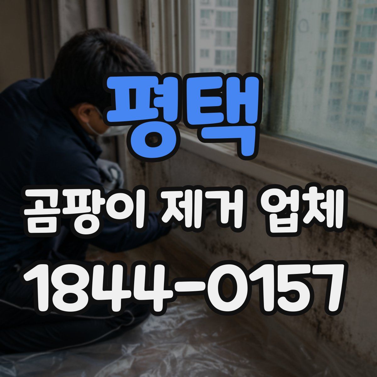 평택 곰팡이 제거 업체
