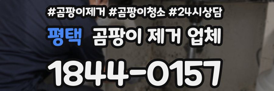 평택 곰팡이 제거 업체