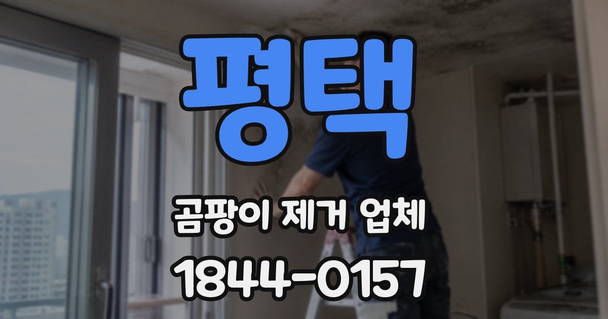 평택 곰팡이 제거 업체