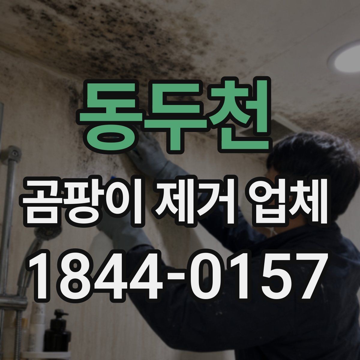 동두천 곰팡이 제거 업체 저층 주택에서 반복되는 냄새 원인 살피기