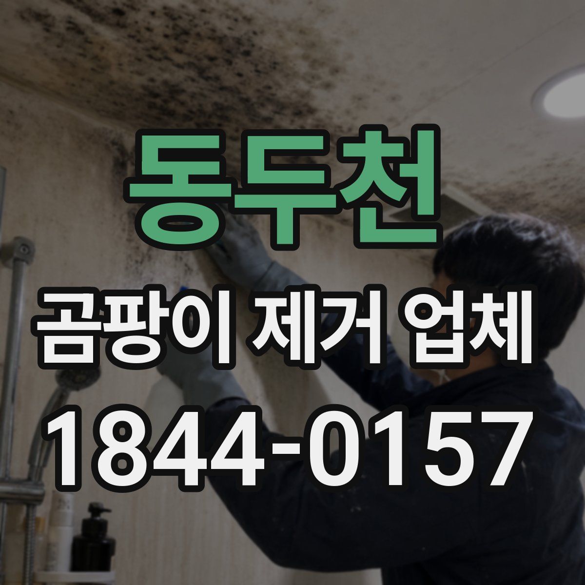 동두천 곰팡이 제거 업체