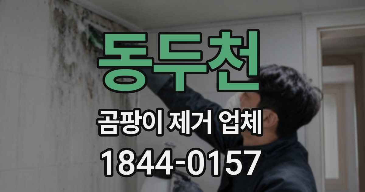 동두천 곰팡이 제거 업체