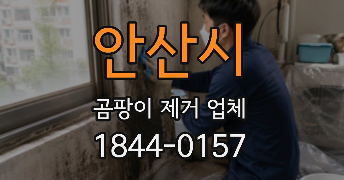 안산시 곰팡이 제거 업체