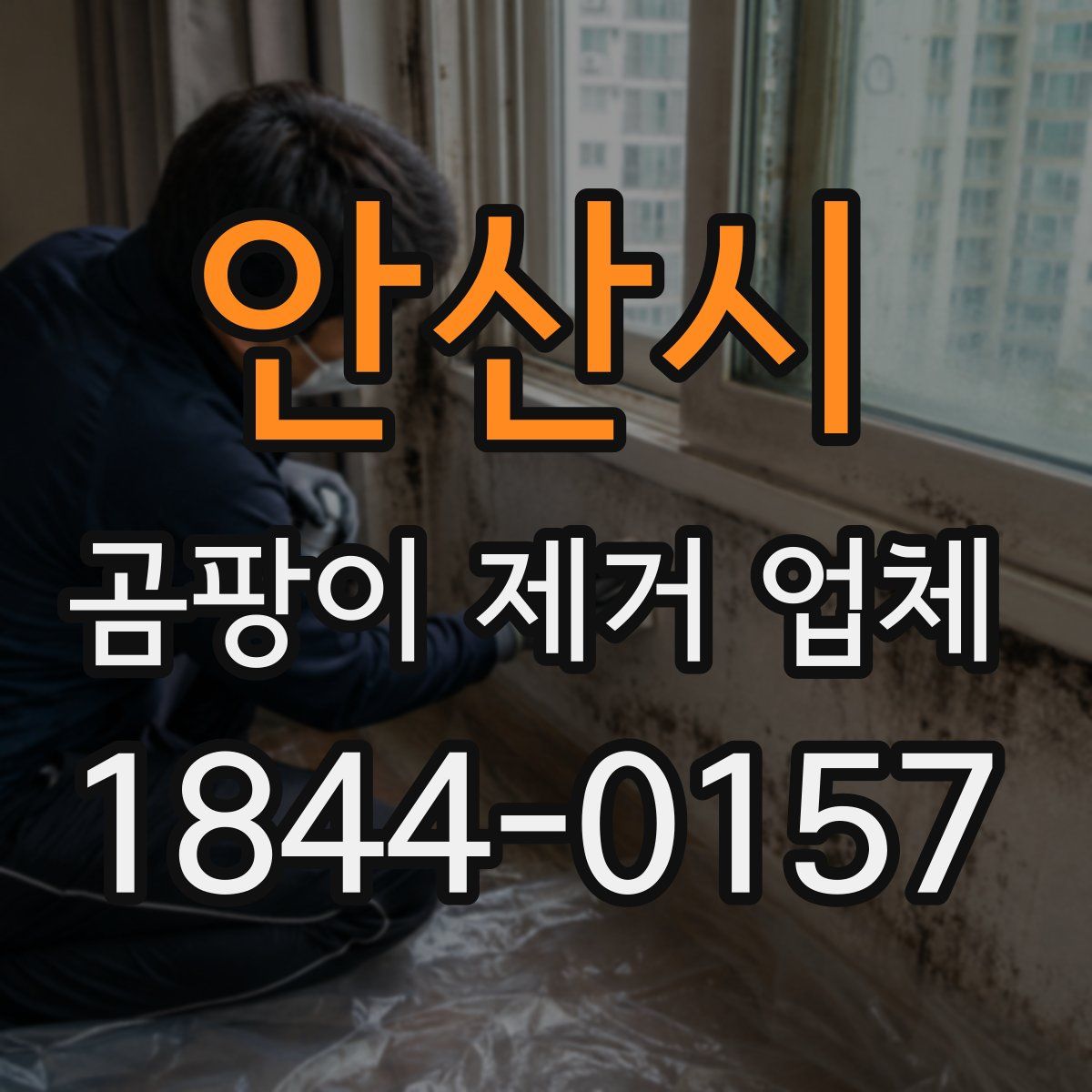 안산시 곰팡이 제거 업체