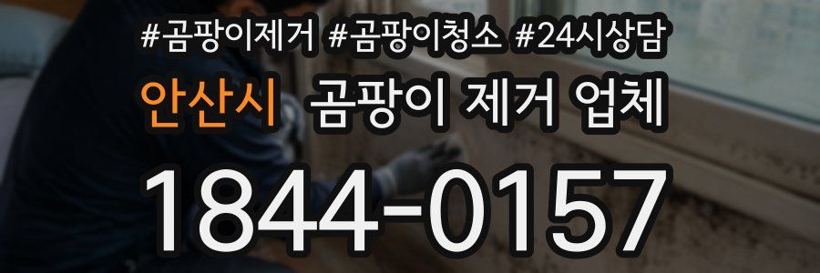 안산시 곰팡이 제거 업체