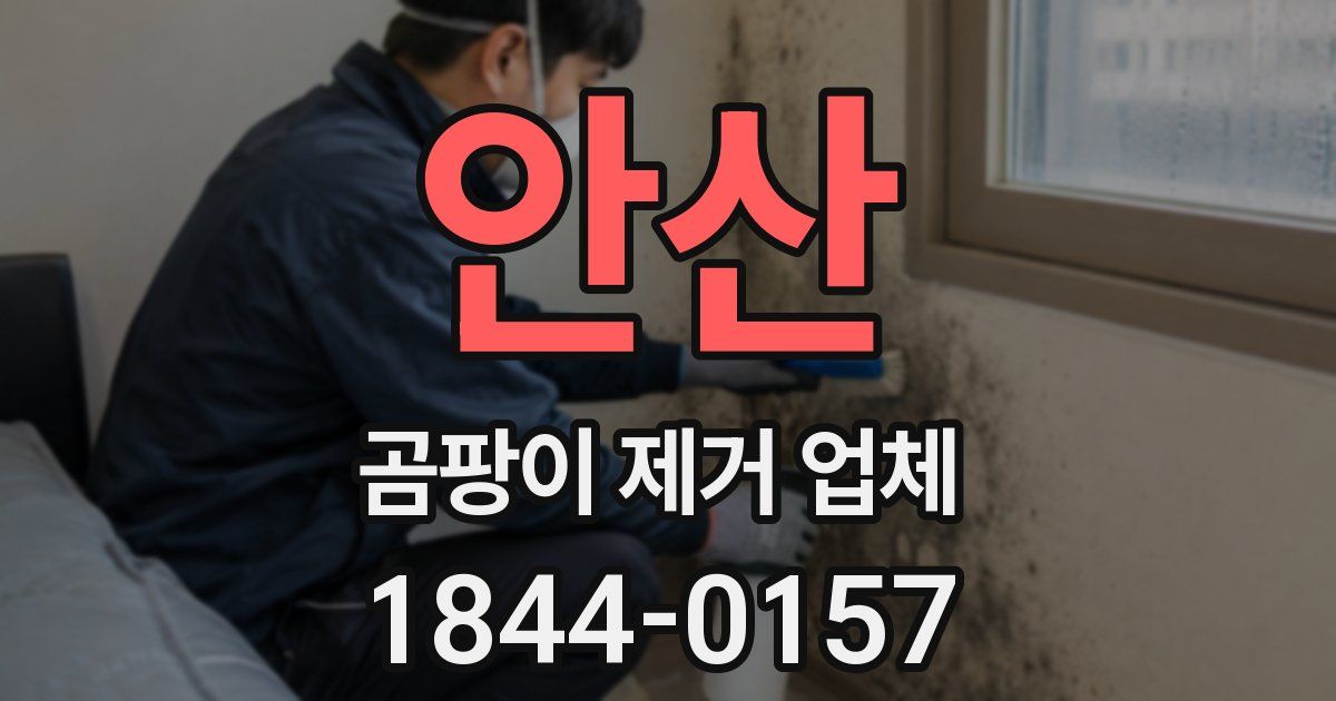 안산 곰팡이 제거 업체