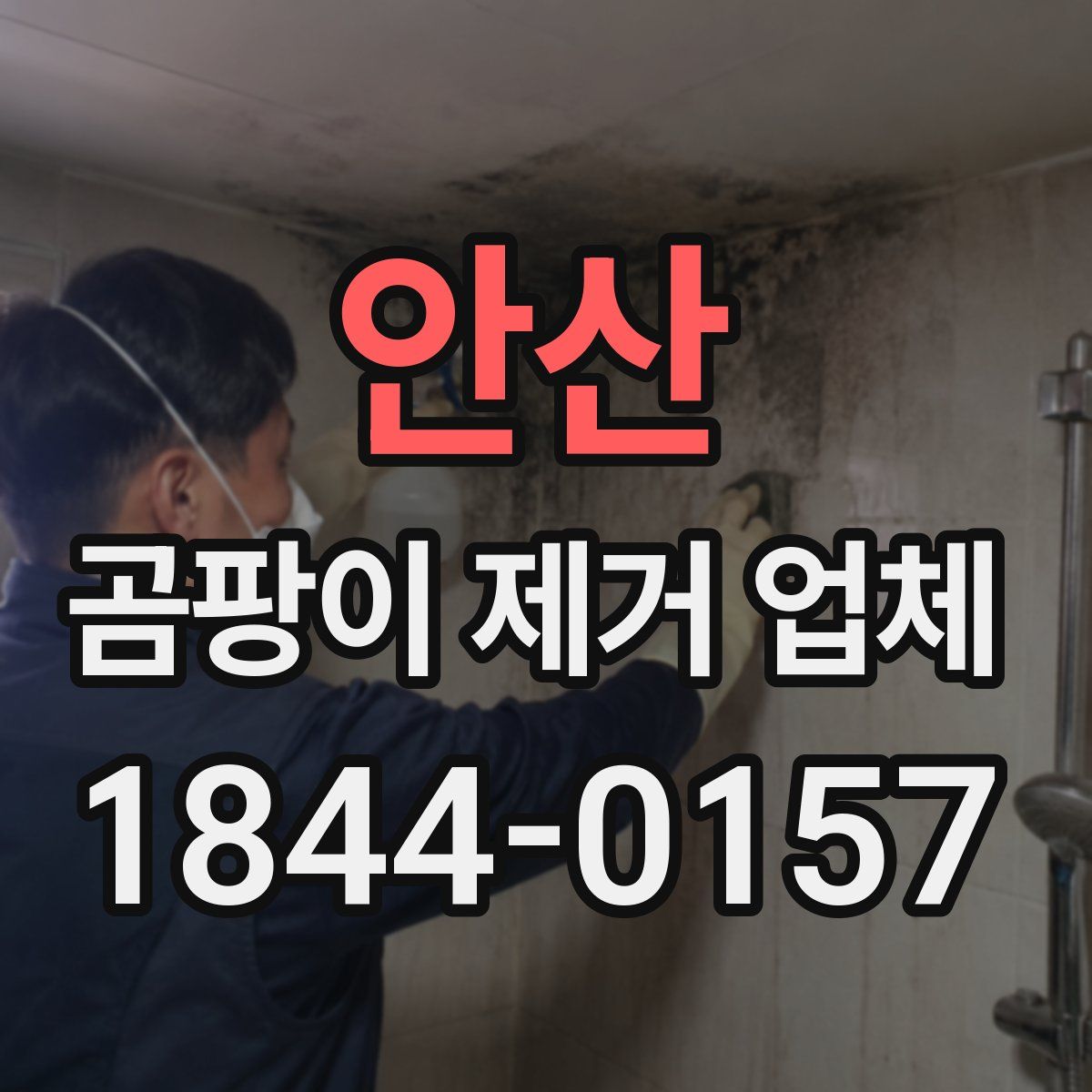 안산 곰팡이 제거 업체