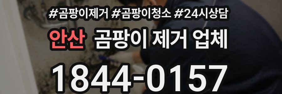 안산 곰팡이 제거 업체