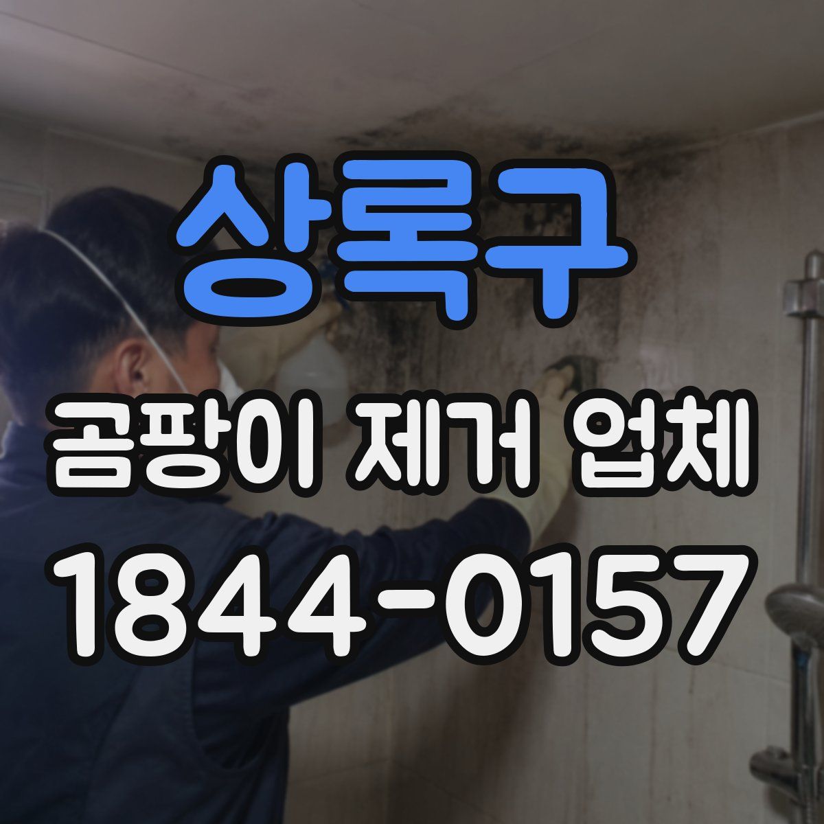 상록구 곰팡이 제거 업체