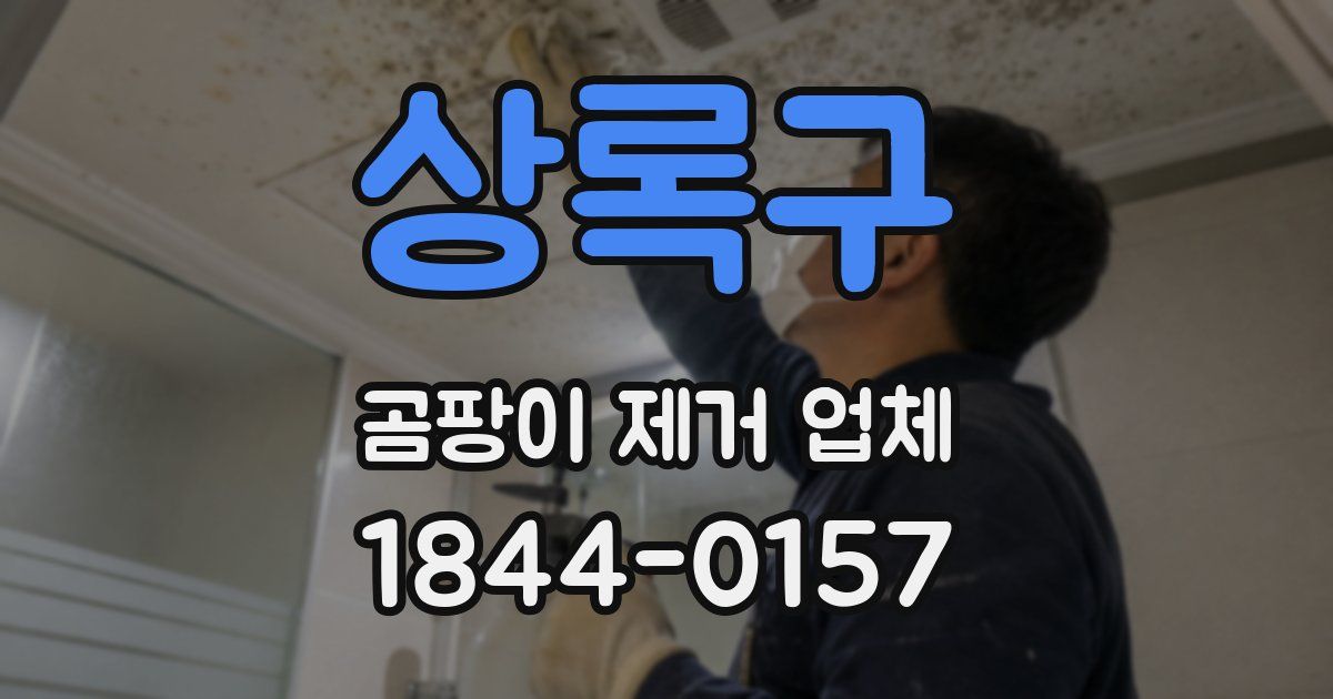 상록구 곰팡이 제거 업체