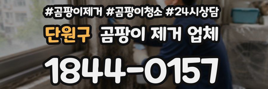 단원구 곰팡이 제거 업체