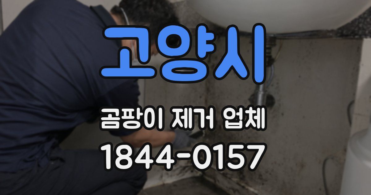 고양시 곰팡이 제거 업체