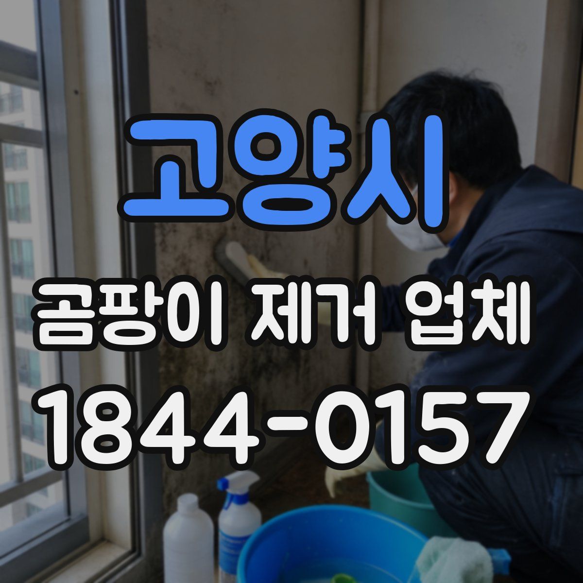 고양시 곰팡이 제거 업체