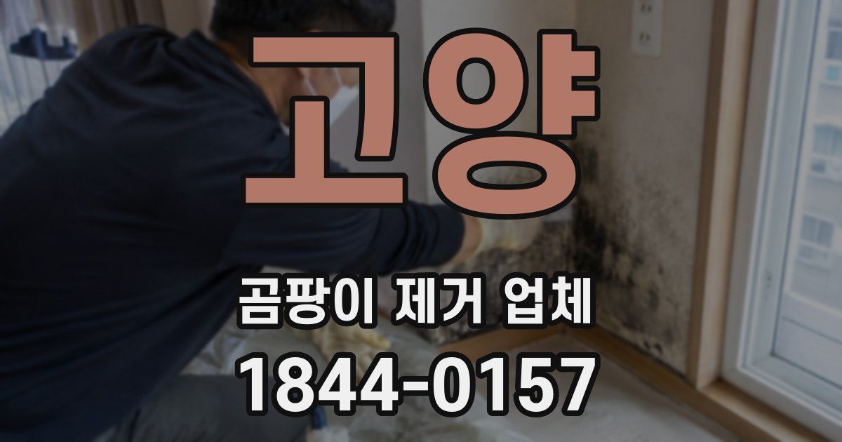 고양 곰팡이 제거 업체