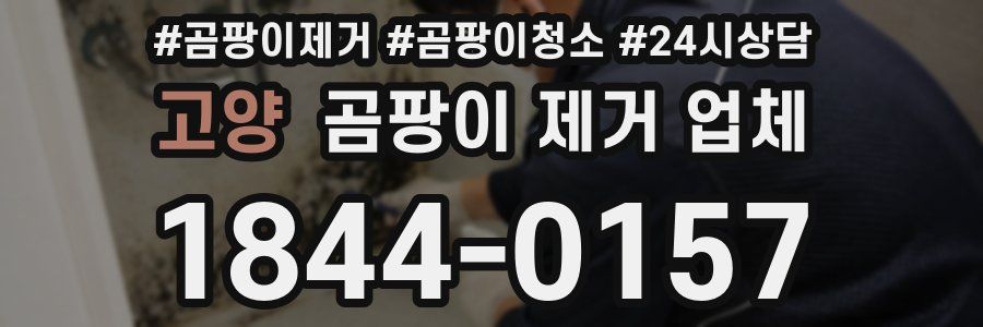 고양 곰팡이 제거 업체