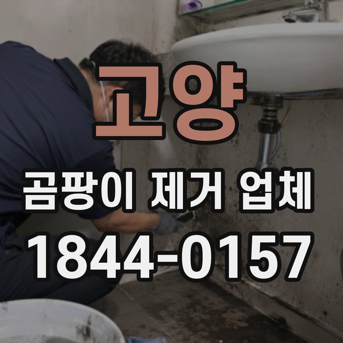 고양 곰팡이 제거 업체