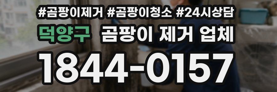 덕양구 곰팡이 제거 업체