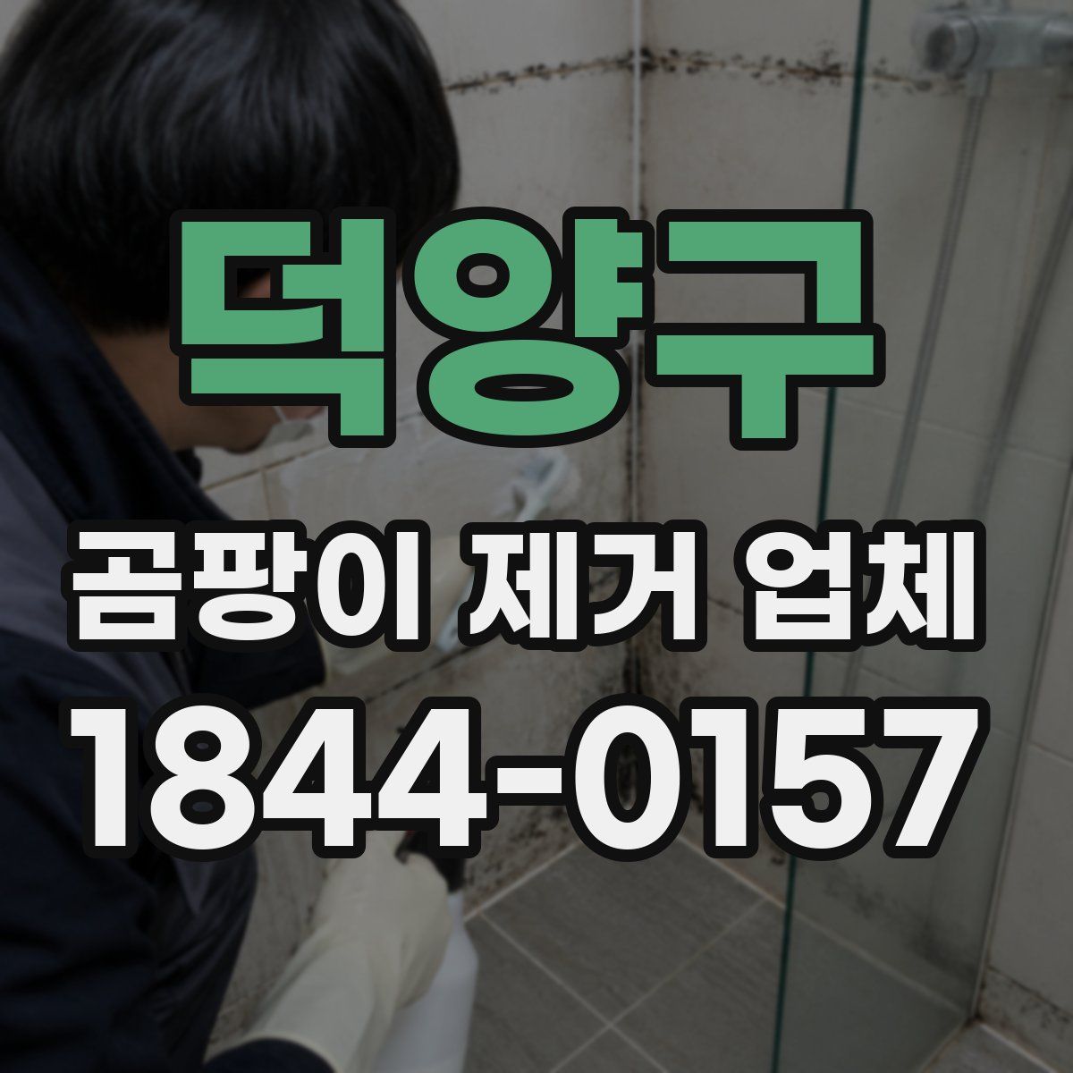 덕양구 곰팡이 제거 업체