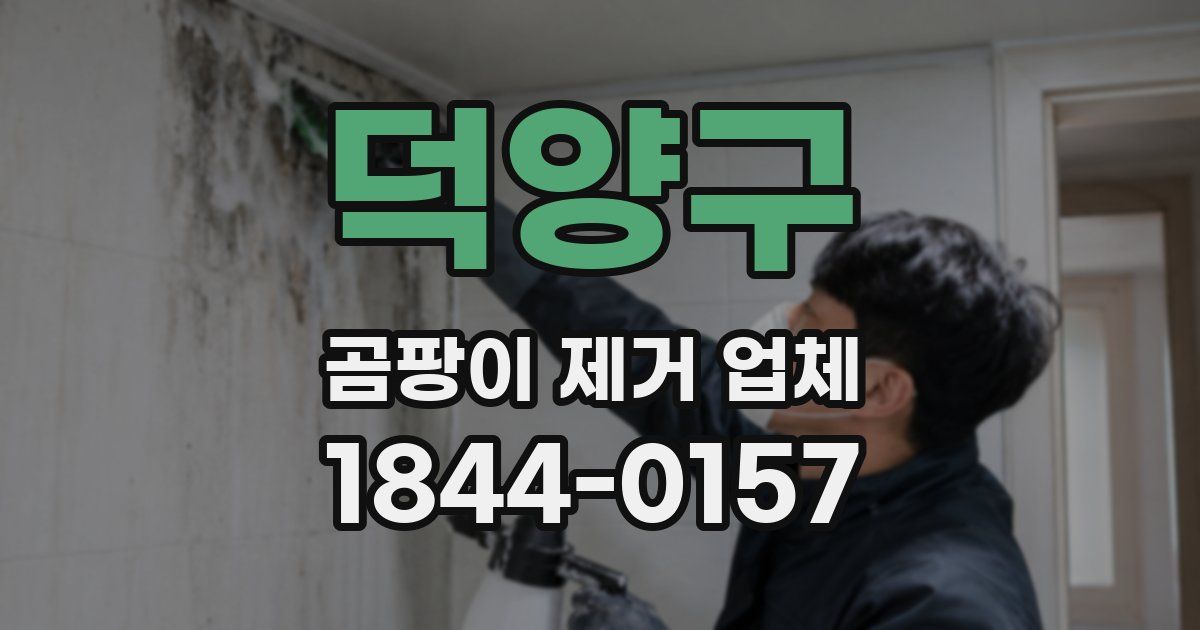 덕양구 곰팡이 제거 업체