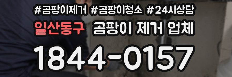 일산동구 곰팡이 제거 업체