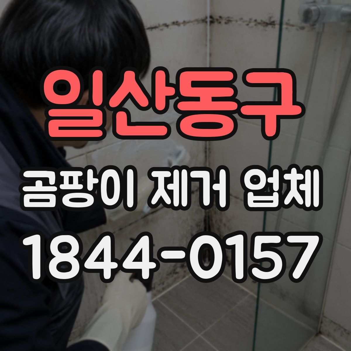 일산동구 곰팡이 제거 업체