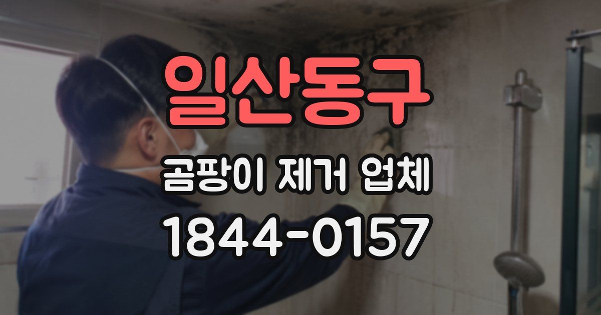 일산동구 곰팡이 제거 업체