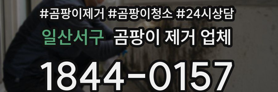 일산서구 곰팡이 제거 업체