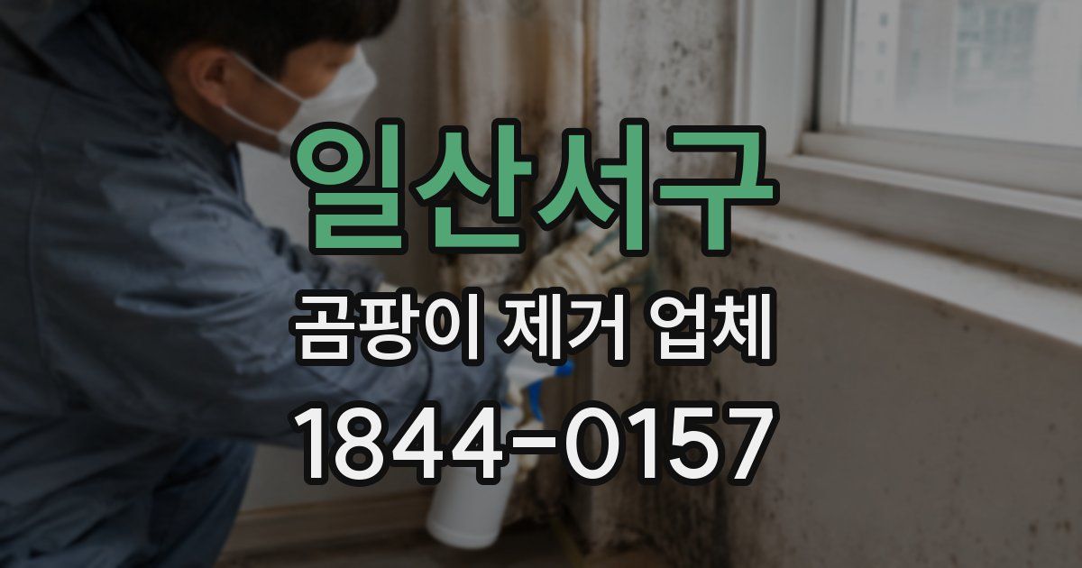 일산서구 곰팡이 제거 업체