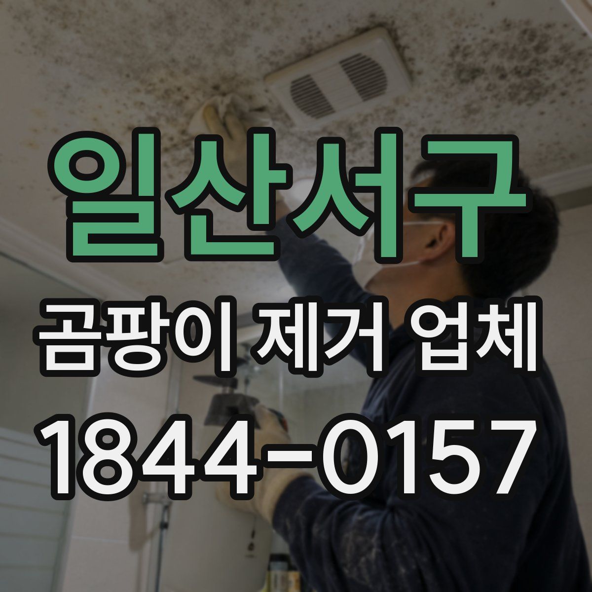 일산서구 곰팡이 제거 업체