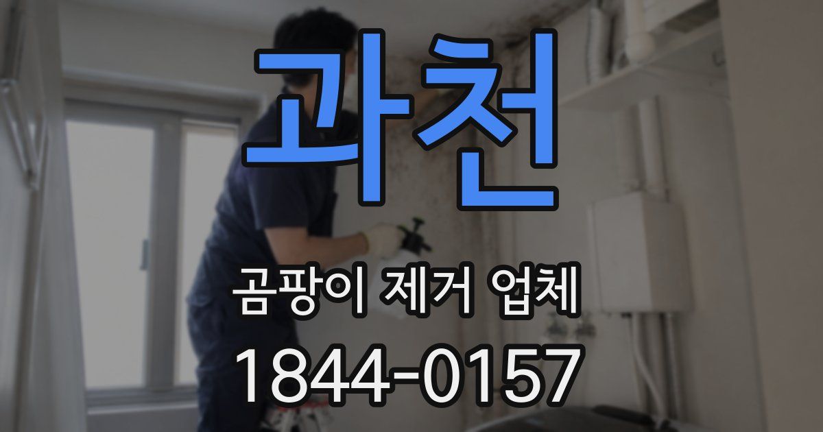 과천 곰팡이 제거 업체