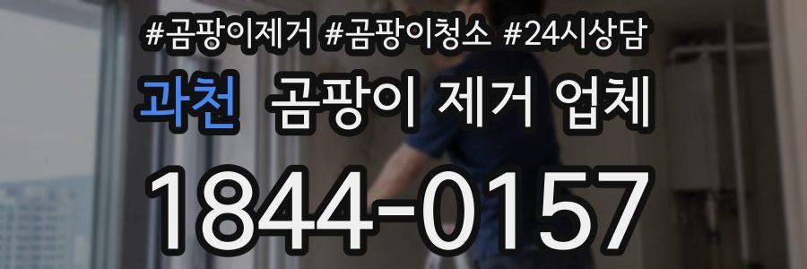 과천 곰팡이 제거 업체