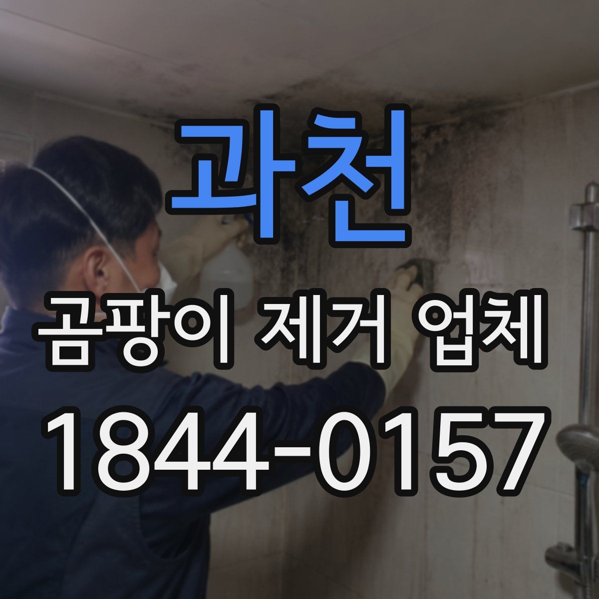 과천 곰팡이 제거 업체