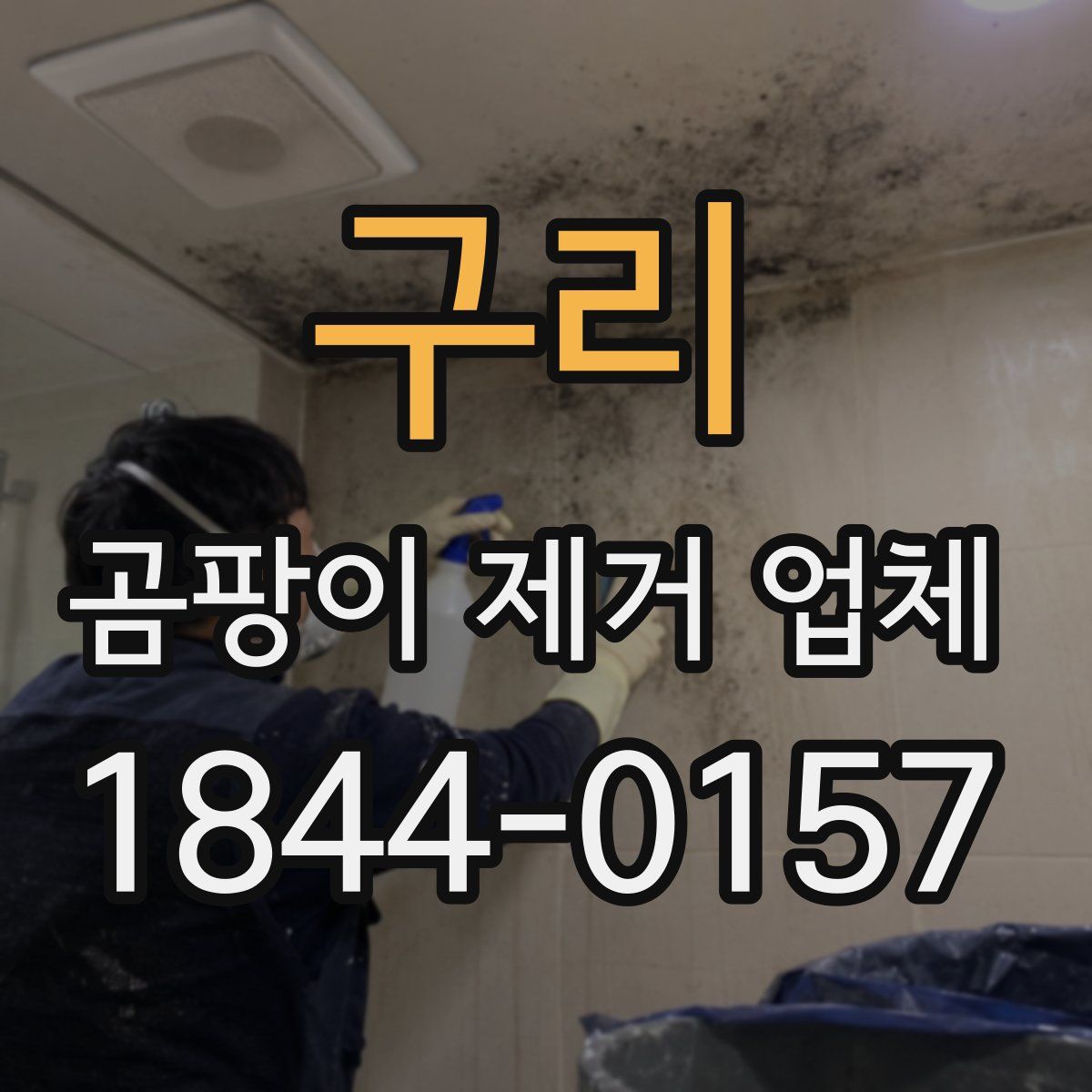 구리 곰팡이 제거 업체