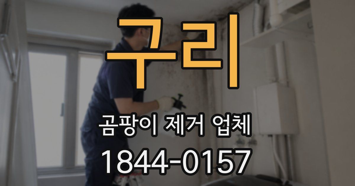 구리 곰팡이 제거 업체