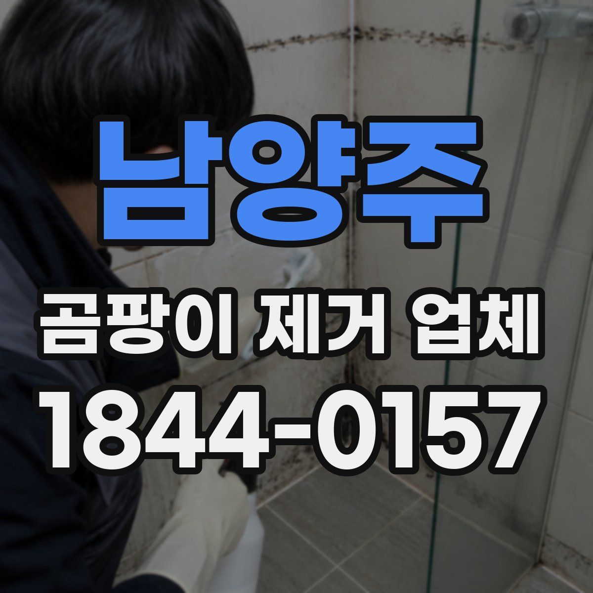 남양주 곰팡이 제거 업체
