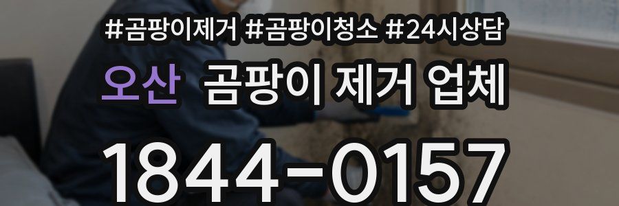 오산 곰팡이 제거 업체