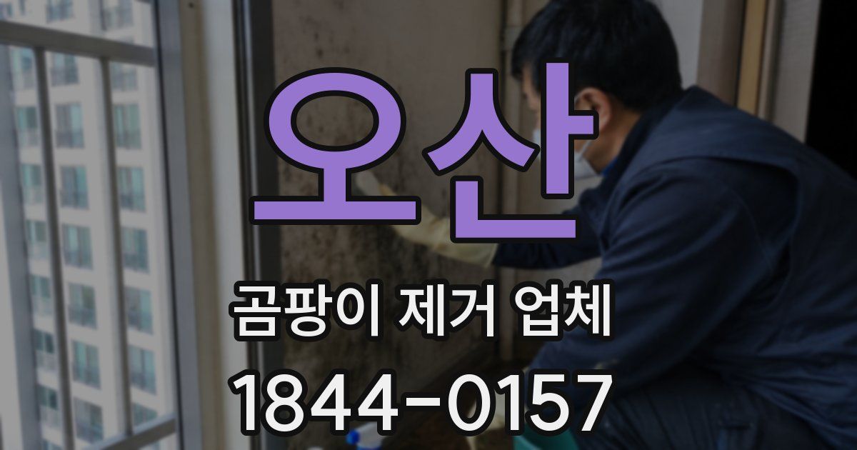 오산 곰팡이 제거 업체