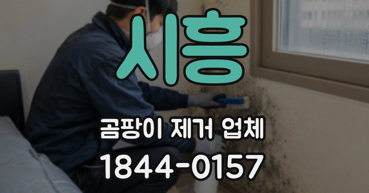 시흥 곰팡이 제거 업체