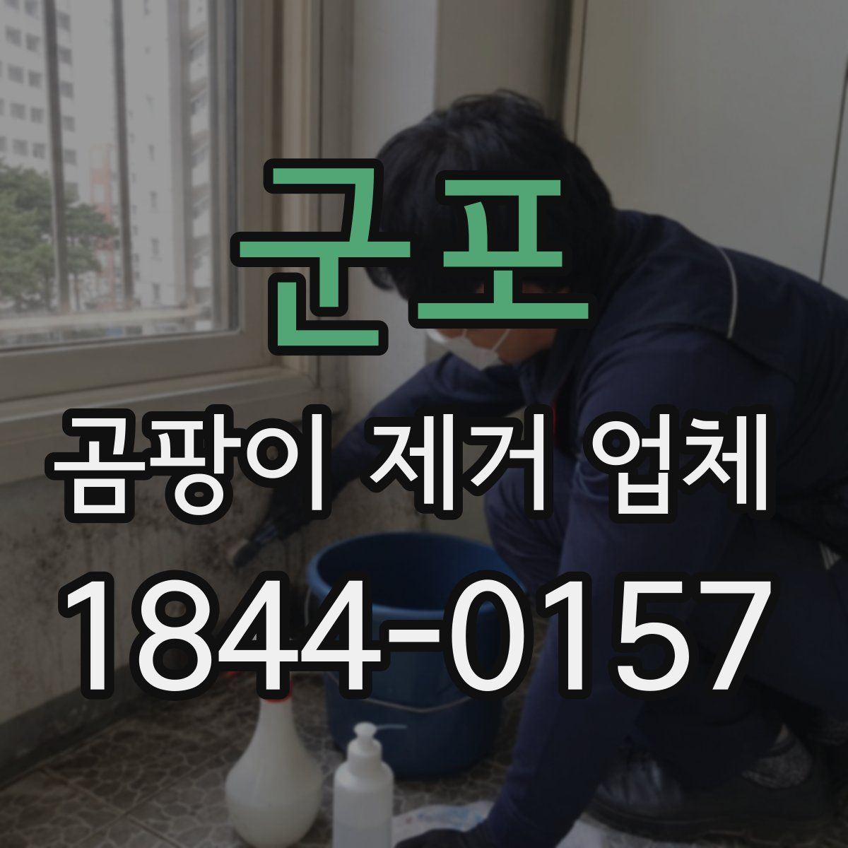 군포 곰팡이 제거 업체