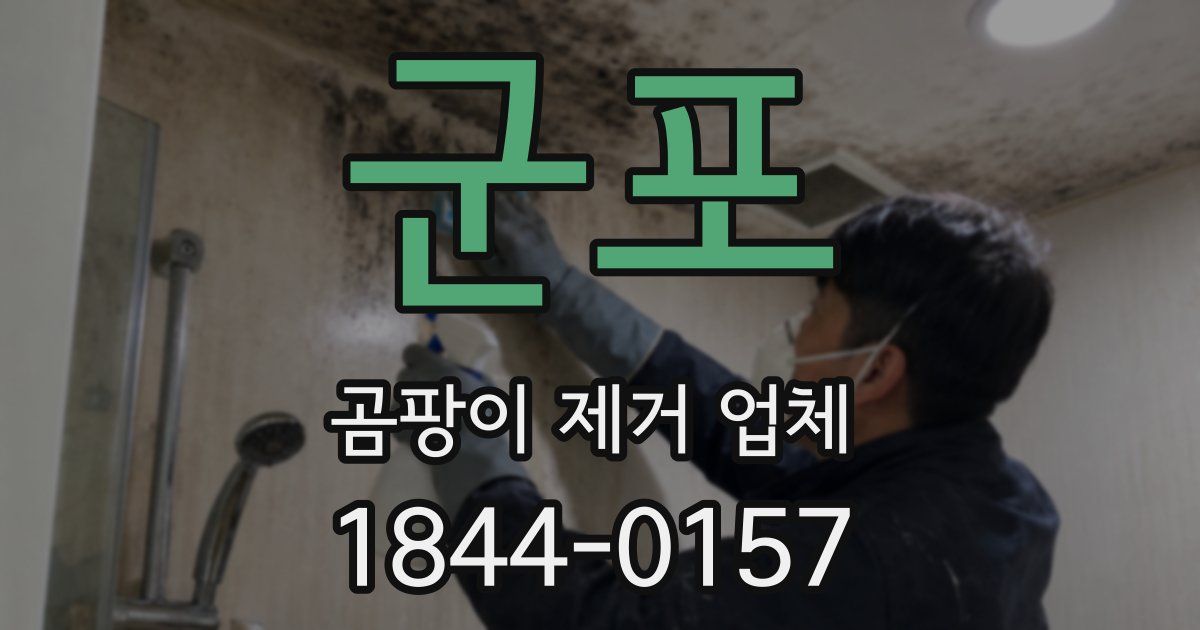 군포 곰팡이 제거 업체