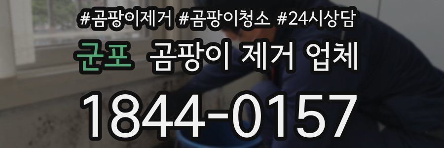 군포 곰팡이 제거 업체