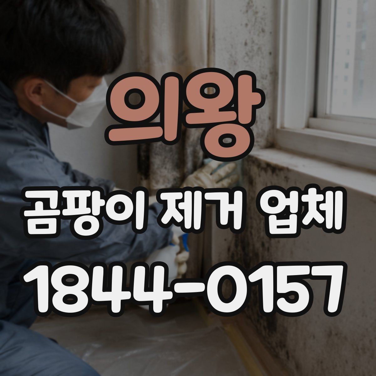 의왕 곰팡이 제거 업체 벽면 번짐과 석고보드 상태 확인